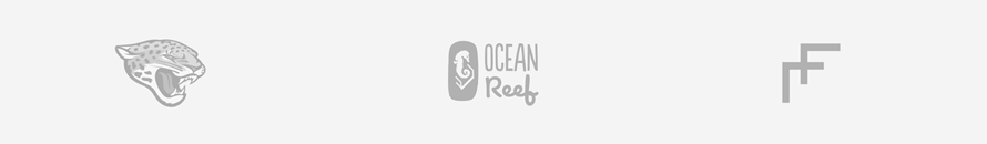 Jacksonville Jaguars - Ocean Reef Pets - randomFew